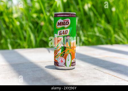 Can of Nestlé Milo Gao drink place in the centre, a thicker version of chocolate malt beverage than the standard version. Stock Photo