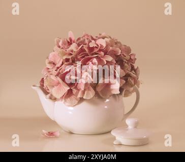 Porcelain teapot with bunch of dried petals of pink flowers placed against beige background Stock Photo