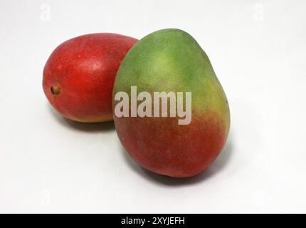 Two fresh mango fruits on white background Stock Photo