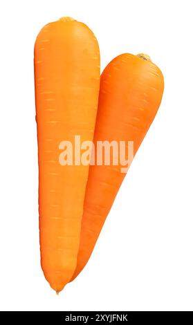 Two roots of fresh orange carrot in stack are isolated on white background with clipping path. Stock Photo