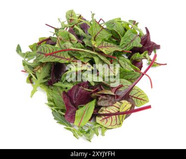 Leaves mix lettuce. Top view. Vegetable still life. Healthy eating. Isolated on white background. Stock Photo