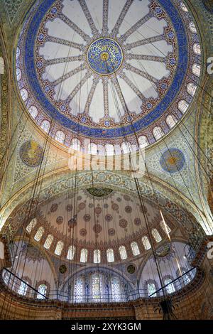 Istanbul, Turkey - many places in the World display cats colonies, but ...
