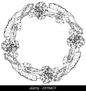 Hand drawn vector ink green salad spinach kale leaf carrot diet healthy lifestyle, vegan cooking. Illustration circle wreath frame isolated white Stock Vector