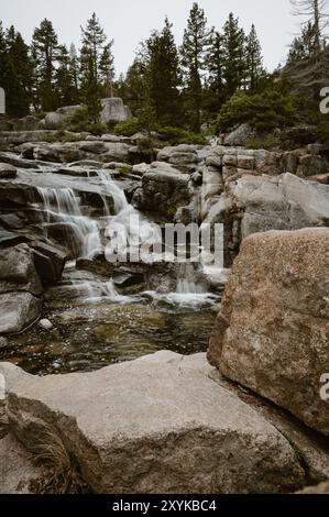Vertical of rocky waterfall among pine trees on a gray day Stock Photo