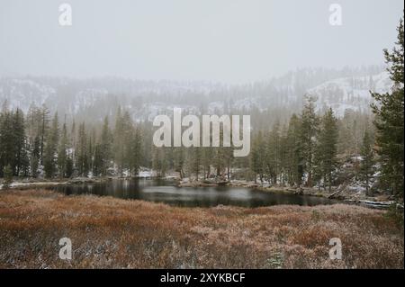 Tranquil winter scene at small pond near lake tahoe Stock Photo