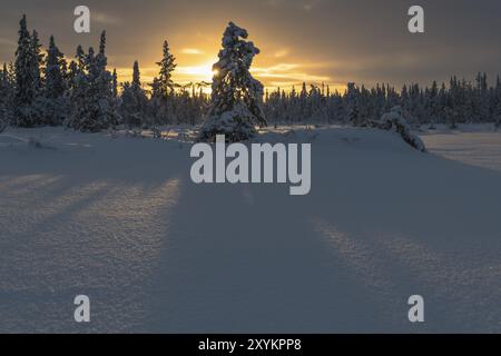 Winter landscape, Muddus National Park, Laponia World Heritage Site, Norrbotten, Lapland, Sweden, November 2017, Europe Stock Photo