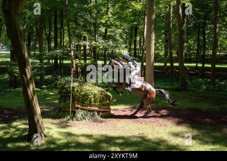 A rider races her horse during the eventing team cross country and the eventing individual cross country on July 28, 2024, at the Chateau de Versaille Stock Photo