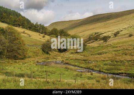 Nant Crew on the other side of the Cantref Reservoir near Merthyr Tydfil, Powys, Wales, UK Stock Photo