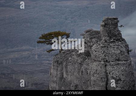 Monochrome photo of foggy mountain valley. Demerdzhi area, Crimea, Ukraine, Europe Stock Photo