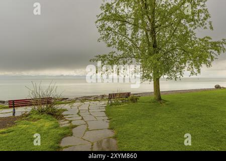 Shore of Lake Constance after a thunderstorm in spring, Friedrichshafen, Lake Constance district, Baden-Wuerttemberg, Germany, Europe Stock Photo