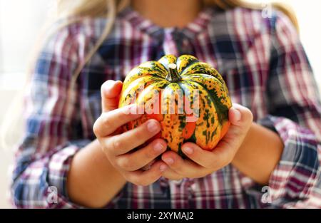 Crop female in casual checkered shirt holding orange mini pumpkin in hands Stock Photo
