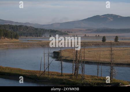 The Yellowstone River flows through the Hayden Valley in Yellowstone National Park in Wyoming, USA, North America Stock Photo