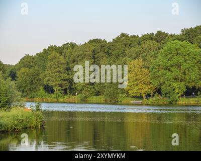 A tranquil lake surrounded by dense forests reflecting the green of the trees, Proebstingsee, Borken, Muensterland, Germany, Europe Stock Photo