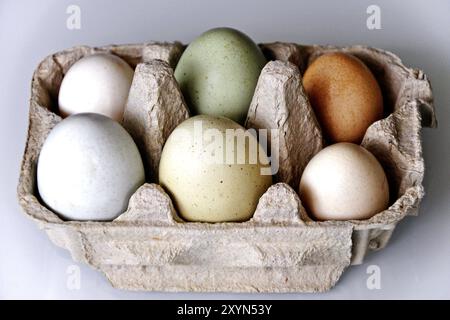 Pulled chicken eggs from organic farming Stock Photo