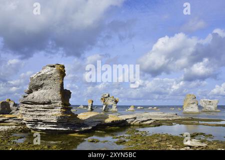 Gamla hamn in sweden on the island gotland. Morning, coastline. The limestone cliffs of Gamle hamn on Gotland Stock Photo