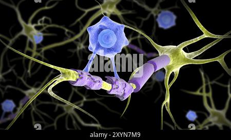 Conceptual image of a multiple sclerosis neuron healed by a T-cell Stock Photo