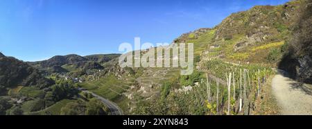 Panorama of the vineyards in the Ahr valley on the red wine hiking trail near Mayschoss Stock Photo