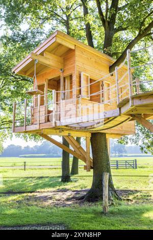 Newly built wooden tree hut in oak trees with meadow Stock Photo