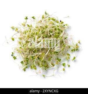 Heap of fresh green Broccoli sprouts close up isolated on white background Stock Photo