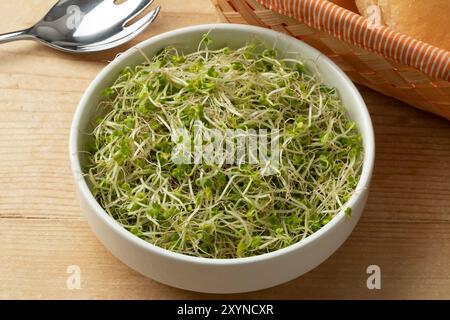 Bowl with fresh green Broccoli sprouts close up on the table Stock Photo