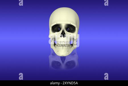 Conceptual view of human skull Stock Photo