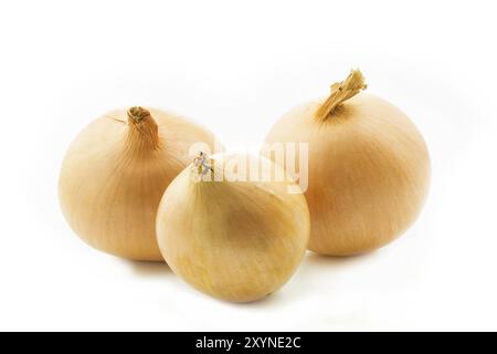 Three raw onions on a white background Stock Photo