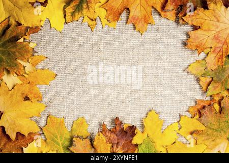 Autumn frame from fallen maple leaves on canvas Stock Photo