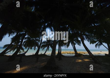 An idyllic set of palm trees lean away towards the turqoise waters of the ocean on the tourist destination of beach number 5 of Havelock Island of the Stock Photo
