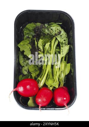 Fresh rip radish with green grass, uncleaned in black plastic box on white Stock Photo