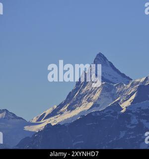 Mount Finsteraarhorn seen from Mount Niederhorn, Switzerland, Europe Stock Photo