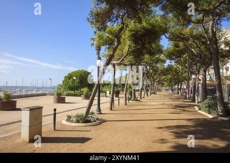 Spain, Catalonia, Blanes, tree-lined seaside promenade in resort town, Europe Stock Photo