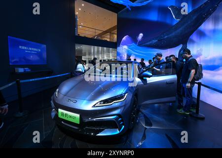 Chengdu, China's Sichuan Province. 30th Aug, 2024. A BYD Seal 06GT electric car is on display during Chengdu Motor Show 2024 in Chengdu, southwest China's Sichuan Province, Aug. 30, 2024. The Chengdu Motor Show 2024 kicked off here on Friday. Nearly 130 Chinese and foreign car companies made appearance during the motor show, with more than 1,600 vehicles on display. Credit: Tang Wenhao/Xinhua/Alamy Live News Stock Photo