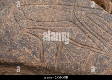 Petroglyph, Ait Ouazik rock deposit, late Neolithic, Morocco, Africa Stock Photo