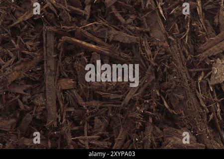 Tree bark and wood chips mulch used in horticulture closeup texture background Stock Photo