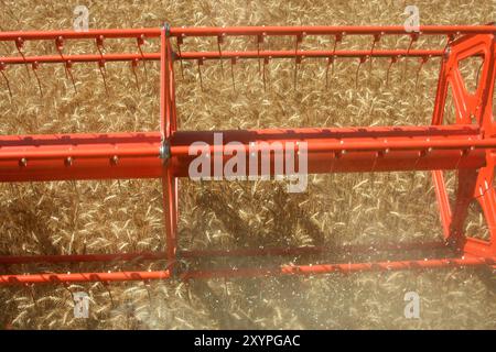 Mower of a combine harvester Stock Photo