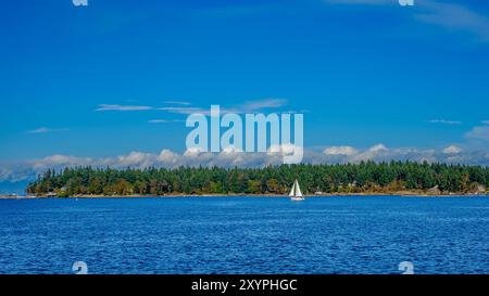 A sailboat sails past Protection Island entering Nanaimo Harbour Stock Photo