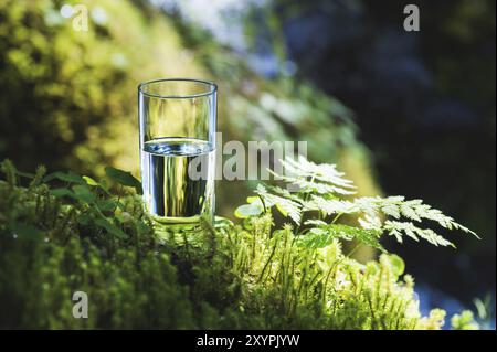 Clear water in a clear glass against a background of green moss with a mountain river in the background. Healthy food and environmentally friendly nat Stock Photo