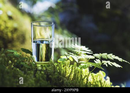 Clear water in a clear glass against a background of green moss with a mountain river in the background. Healthy food and environmentally friendly nat Stock Photo