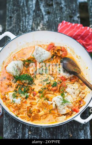 Cod with chanterelles and tomatoes in creamy sauce with dill Stock Photo