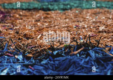 Textured background decorative colored sawdust for finishing flower beds in the winter season. Yellow blue sawdust Stock Photo