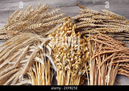 Grain sheaves Stock Photo