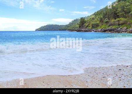 Summer vacation background with turquoise sea water bay and pine trees in greek island, Marble beach, Saliara, Thassos, Greece, Europe Stock Photo