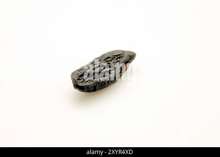 tonka bean cut out on a white background Stock Photo