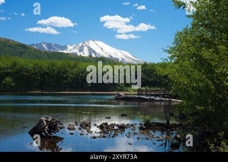 Washington's Mount St Helens looms above Coldwater Lake, which was formed during the 1980 eruption. Stock Photo