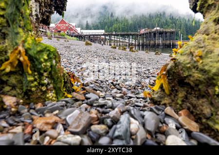 Historic Cannery and pier at Icy Strait Point - Hoonah, Alaska, USA Stock Photo