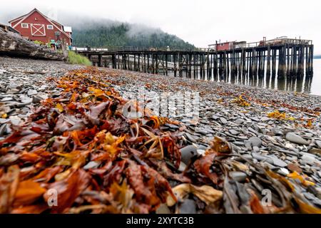 Historic Cannery and pier at Icy Strait Point - Hoonah, Alaska, USA Stock Photo