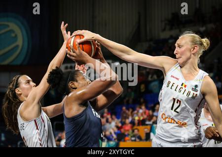 Tenerife basketball roster online