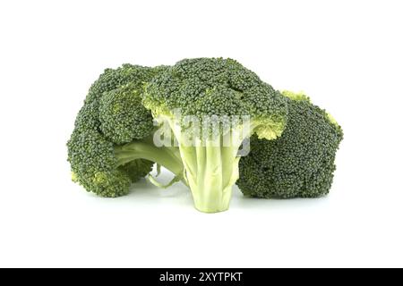 Fresh raw broccoli isolated on white background, full depth of field Stock Photo