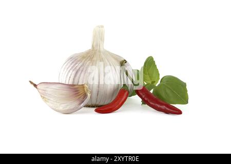 Whole garlic bulb with garlic cloves close to two red chili peppers and a sprig of basil leaves isolated on white background Stock Photo