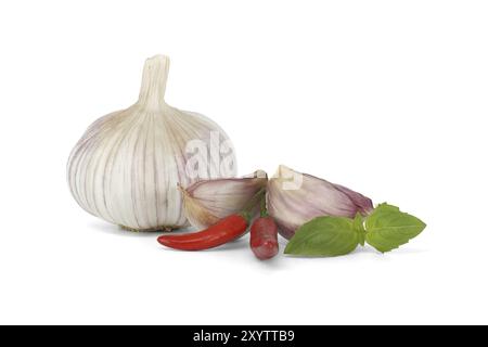Whole garlic bulb with garlic cloves close to two red chili peppers and a sprig of basil leaves isolated on white background Stock Photo